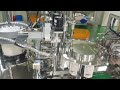 SPS-A700S (특수형)스파우트 2열 자동 포장기계