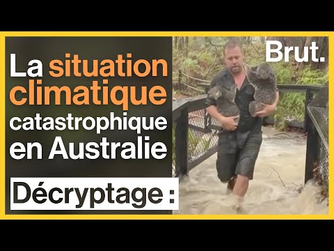 Vidéo: Est-ce qu'il y a des orages de grêle en Australie ?