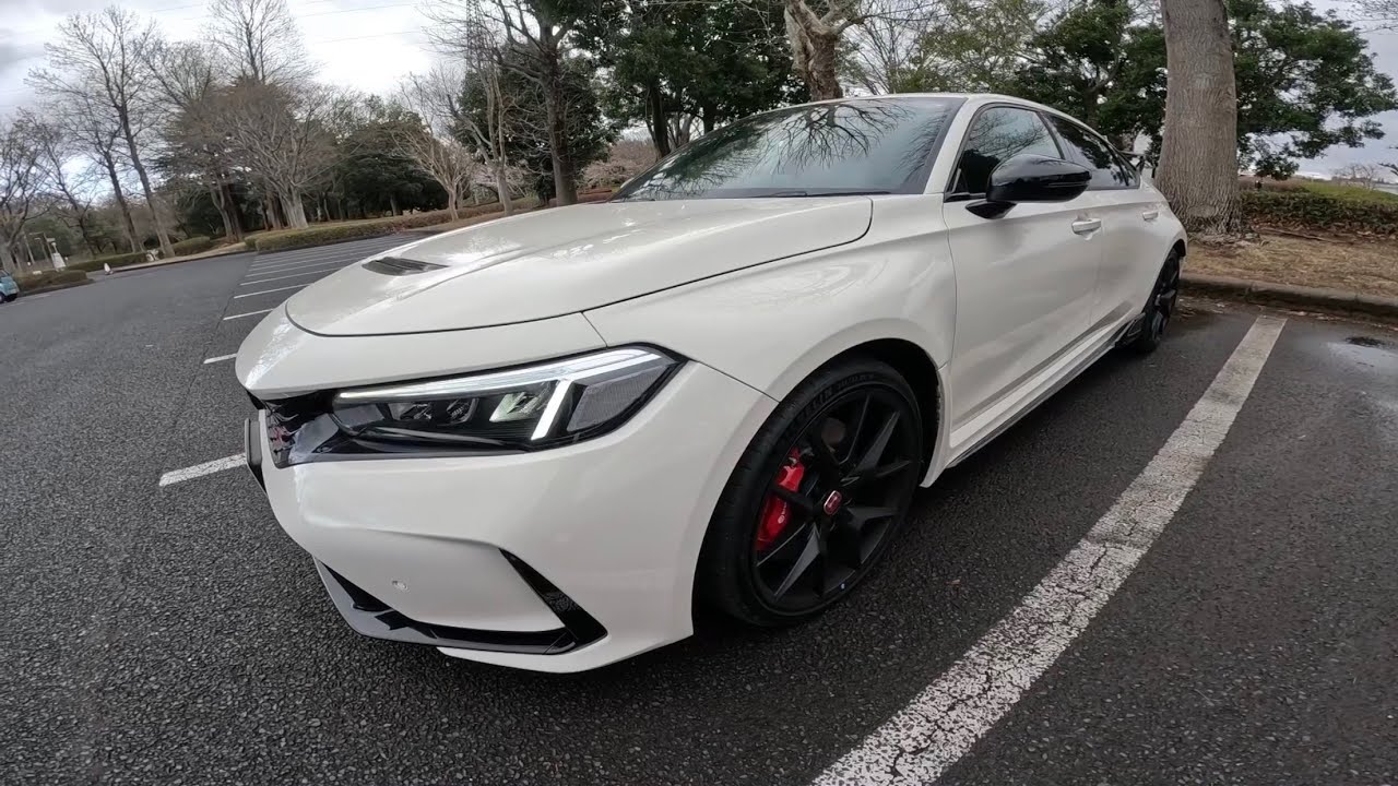 値下げしましたスワンジャンスカ yukiemon fl5（Everyone is up and  