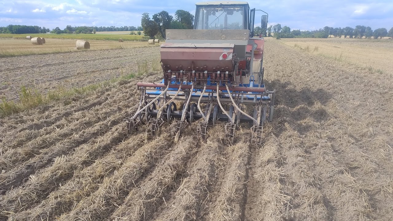 Siew rzepaku 2025 agregat Strip till własnej produkcji 