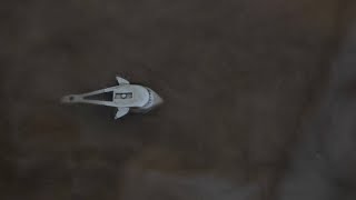 The Migration of Lego Sharks. by Rolf Nylinder 8,708 views 3 years ago 1 minute, 35 seconds