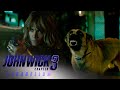 'John Wick Meets Sofia & Her Dogs' Scene | John Wick: Chapter 3 - Parabellum