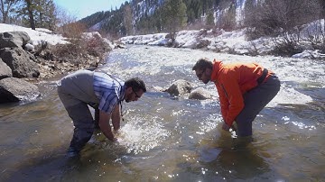 IS1001 Fixed Width Cord Antenna Installation Instructions