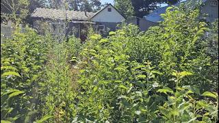 Before Mowing, He Told Me to Check for People in the Backyard...