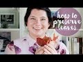 How to Preserve Leaves! | The October Edit | East Egg Style