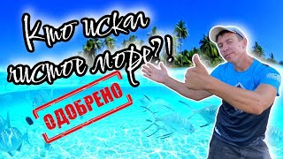 ТОП5 курортов России с самым чистым и прозрачным морем. (Папа Может)