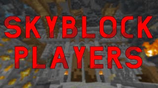 Types of Skyblock Players!