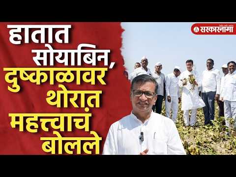 ‘आता घोषणा नको, थेट अंमलबजावणी करा’ बाळासाहेब थोरातांची मागणी, Balasaheb Thorat, Sangamner, Dushkal