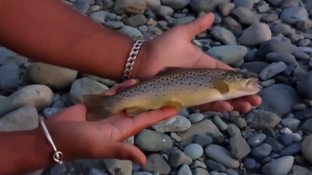 Dry fly fishing in kashmir..beautiful dry fly takes.. YouTube