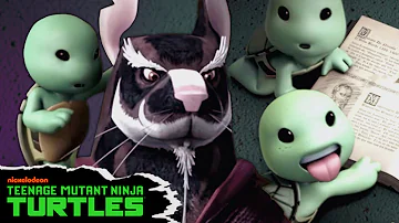 Master Splinter Names The BABY Ninja Turtles 🐢 | Full Scene | Teenage Mutant Ninja Turtles