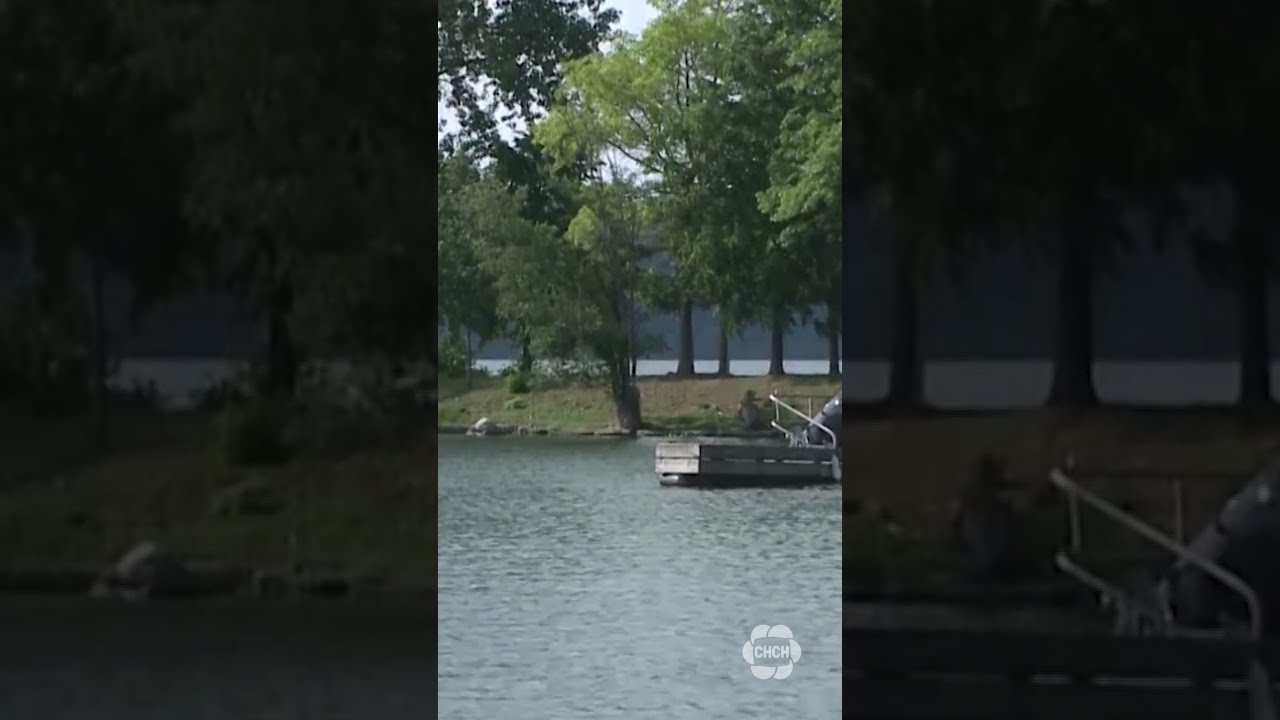 Hamilton Police Are Investigating After A Body Was Found In The Harbour On Wednesday Afternoon