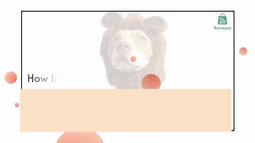 Recurpay Subscriptions | Only for Shopify | Best Subscription Apps