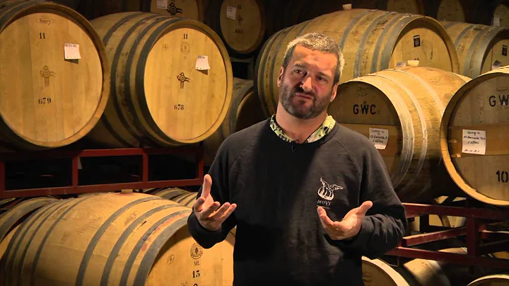 MOVI - Chilean Wine In Motion (Preview)
