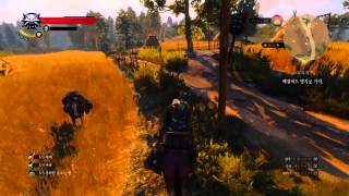 The Witcher 3 Bug double Roach 위쳐3 버그 로취가 떠블