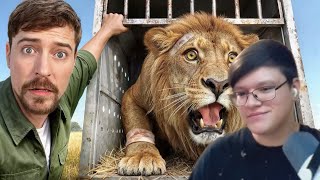 видео: VIPÁR смотрит «Я Спас 1000 Животных От Гибели» картинка: VIPÁR смотрит «Я Спас 1000 Животных От Гибели»