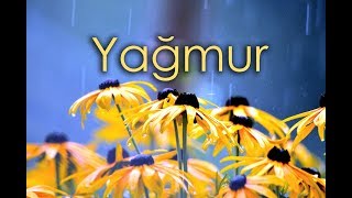 Yağmur