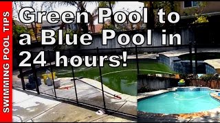 How to clean a green pool in just 24 hours! (part 1 of 2)