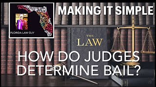 Florida Law Guy: How Do Judges Determine Bail?