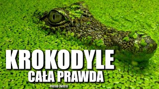 CAŁA PRAWDA O KROKODYLACH screenshot 4