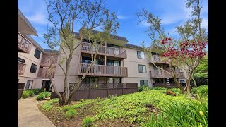 3135 Shelter Creek Lane video tour