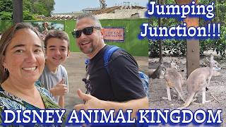 Disney's Animal Kingdom! NEW! Jumping Junction, Plus Tropical Americas Construction Update!  screenshot 2
