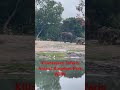Kilimanjaro Safari Animal Kingdom Walt Disney World