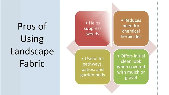 Landscape Fabric Pros & Cons Explained | Weed Control vs. Soil Health