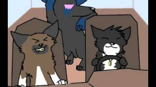 What Is Wolves