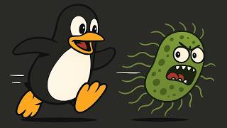 Bash Shell and Scripting For Biologists: Session 22: Introduction to Bash Scripting