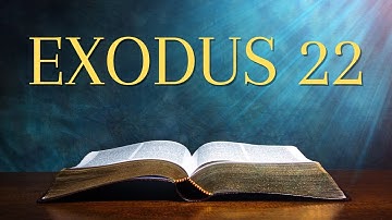 Exodus 22 – Audio Bible (NIV) | Read Along with Captions