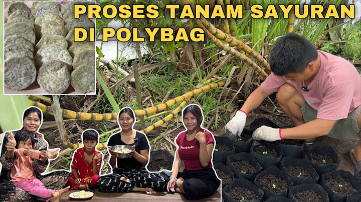 BIKIN CEMILAN DARI TALAS DI SAAT HUJAN, DAN MASAK JANTUNG PISANG