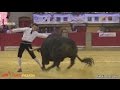 Concurso de Recortes con Toros · Zaragoza 2015 🏆 Final Campeonato de España