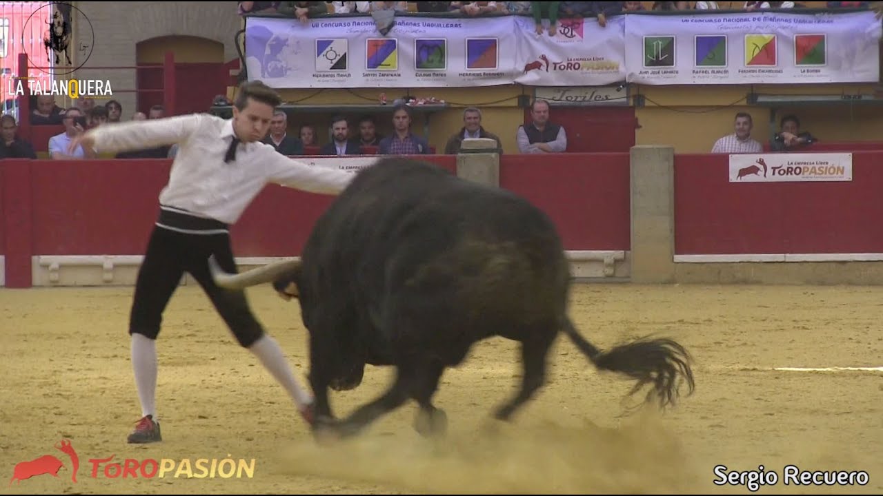 Concurso de Recortes con Toros · Zaragoza 2015 🏆 Final Campeonato de España