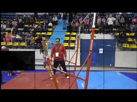 آن محمود بطولة كأس مصر الجمباز الفني انسات تحت ٨ سنوات ٢٠٢٣ وذهبية المستوى الأول الروتيش الأول 