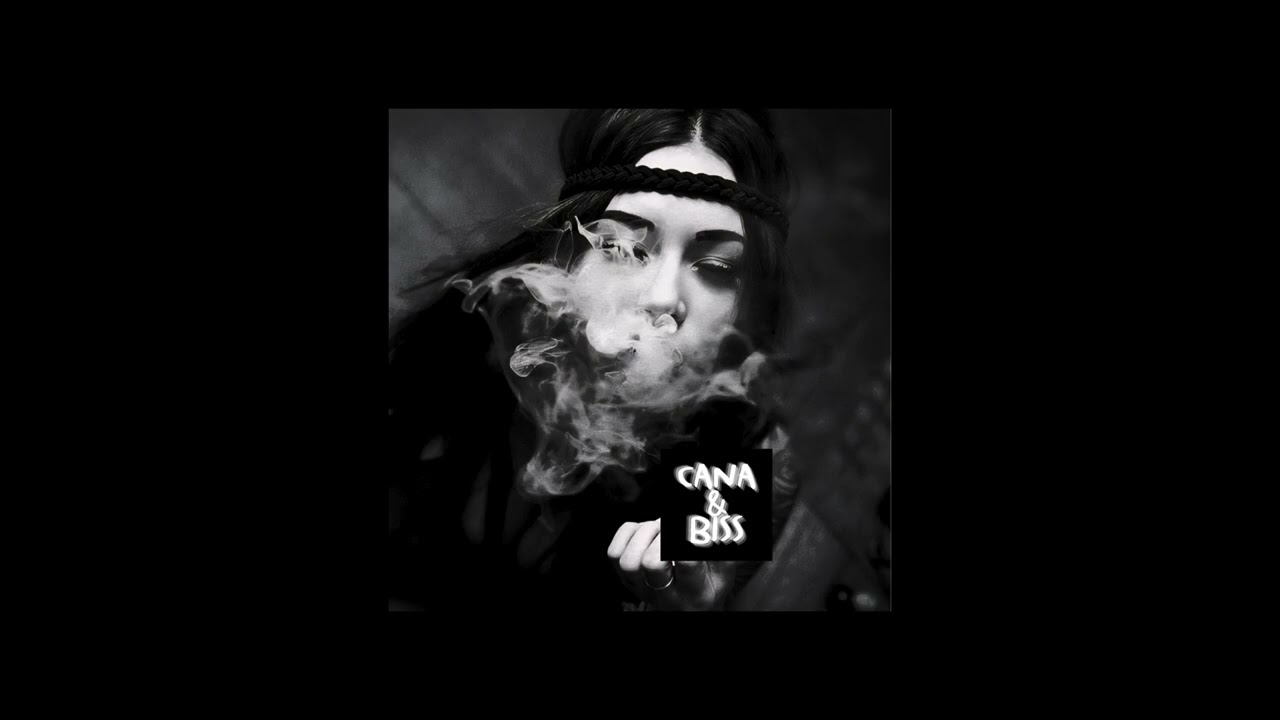 Dimitri Vegas, MOGUAI & Like Mike - Mammoth (Cana&Biss Remix)