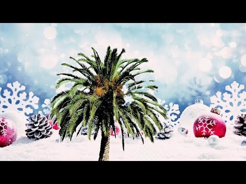 التفريق بين انثى النخل والذكر          