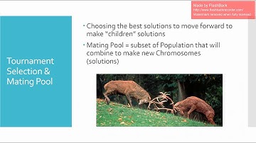 DSA5303 Project - Genetic Algorithm & Portfolio Optimization