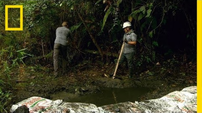 Finance Colombia » Digging Into a Toxic Trade: Illegal Mining in   Tri-Border Regions