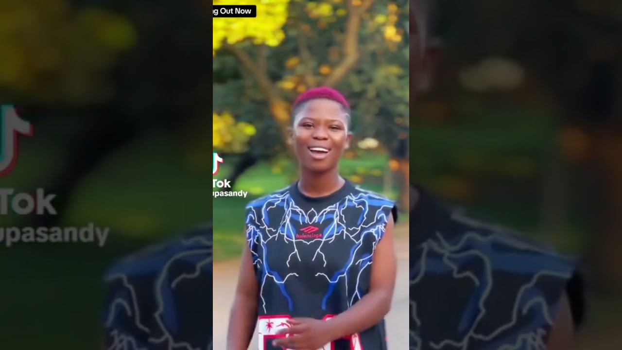 SUPA SANDY BREADWINNER