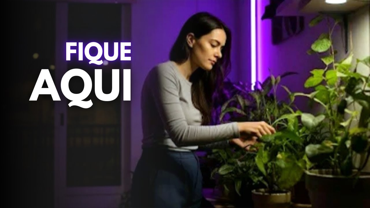 Quando o dia termina 🎵 não vá embora por dentro