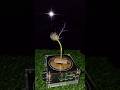 Slow-mo: dandelion ⚡️ PART 2 #physics #lightning #shorts