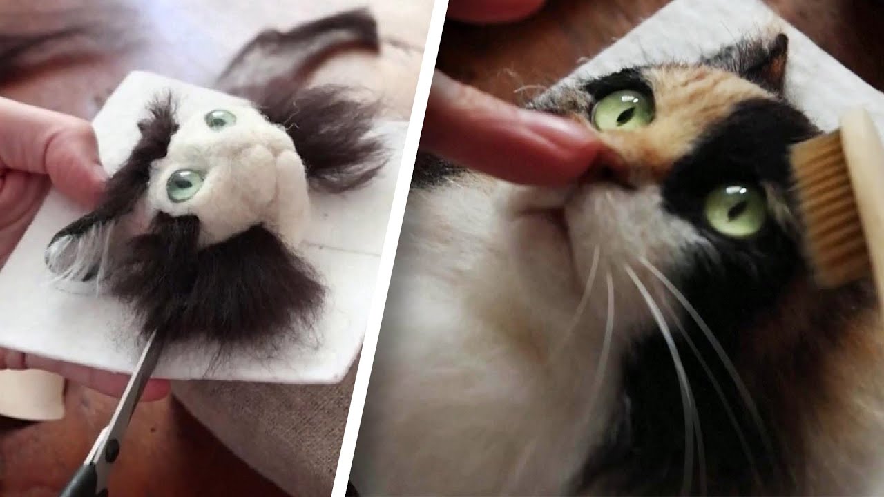 Artist’s 3D Cat Portraits Look Like Real Animals - YouTube