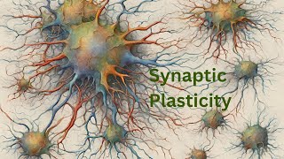 Famous The Science of Learning and Memory: Unraveling the Mysteries of Synaptic Plasticity Wealth