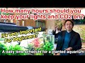 A daily time schedule for planted aquarium beginners〜I'll explain the best lighting time, CO2 etc...