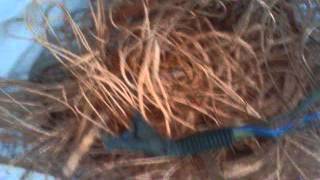 Vid 00376 20131120 1019