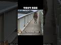 웃음보약 동물들 웃음보약 동물들
