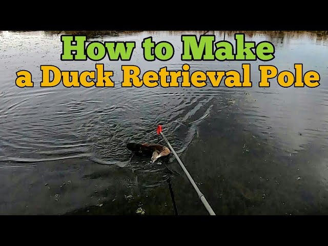 How to Make a Duck Retrieval Pole 