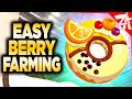 Easy Berry Farming - Pokemon Legends Z-A Mega Dimension