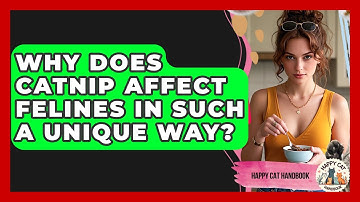 Why Does Catnip Affect Felines In Such A Unique Way? - Happy Cat Handbook
