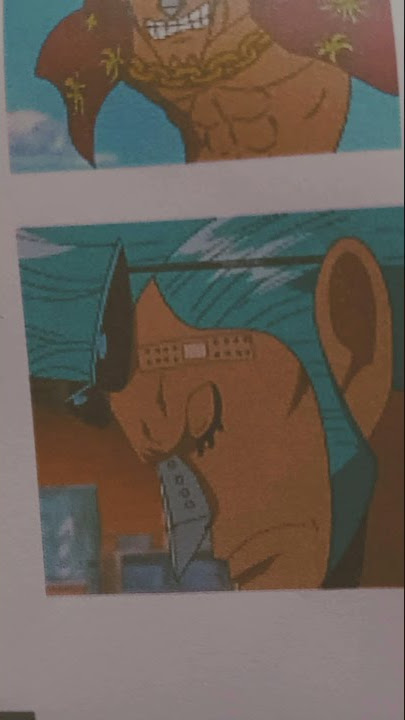 story wa franky one piece